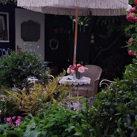 Al Piccolo Giardino Vittorio Veneto